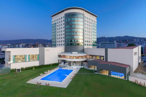 Гостиница Dedeman Tokat  Токат
